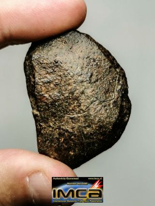Z5 - Great Complete Nwa Unclassified Ordinary Chondrite Meteorite 64.  23g