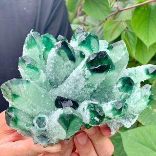 2.  02lb Find Green Phantom Quartz Crystal Cluster Mineral Specimen Healing