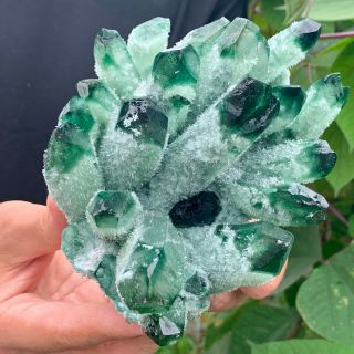 2.  02LB Find Green Phantom Quartz Crystal Cluster Mineral Specimen Healing 2