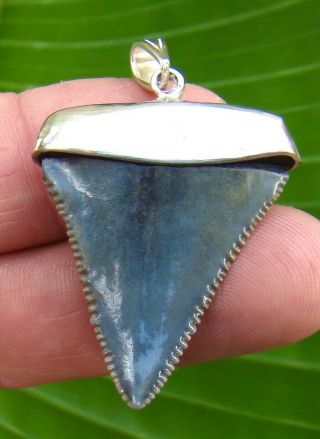 GREAT WHITE SHARK TOOTH Necklace - 1 & 1/2 in.  - STERLING SILVER 2