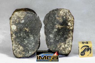 C64 - Whole Nwa Chondrite Meteorite Cut Two Halves 46.  7g Probably L Melt Breccia