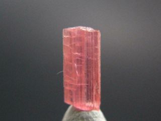 Extremely Rare Gem Vayrynenite Crystal From Pakistan - 0.  8cm - 0.  35 Carats