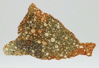 Meteorite NWA 753 - Rumuruti R3.  9 Chondrite - Thin Section 2