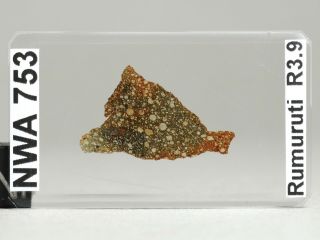 Meteorite NWA 753 - Rumuruti R3.  9 Chondrite - Thin Section 3