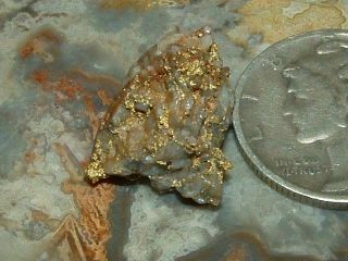 Oxidized Gold Quartz Specimen 1.  74 Gram Natural California Gold In Quartz