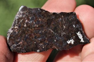 Bondoc Meteorite Etched Full Slice 7 Grams