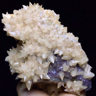 463g Rare Complete Light Yellow Dog Tooth Calcite Crystal Cluster On The Rock