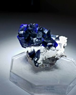 SWEET - Electric Blue Azurite crystals on Dickite,  TN Milpillas mine Mexico 2