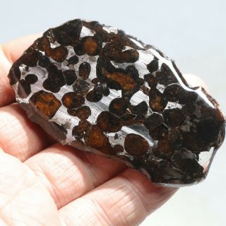 50g Rare Slices Of Kenyan Pallasite Olive Meteorite A550