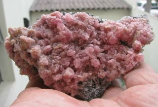 Rhodochrosite Pink To Red Cubic Crystals On Matrix From PerÚ. .  Great Piece
