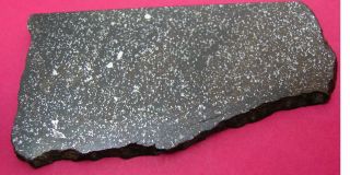 Nwa 4488 Meteorite: 77.  2 Gram Polished Slice