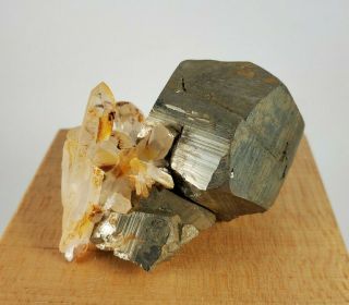 Cubic Pyrite With Quartz Crystal Specimen Spruce Ridge Claim King County Wa