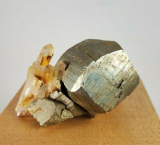 Cubic Pyrite with Quartz Crystal Specimen Spruce Ridge Claim King County WA 2