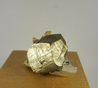 Cubic Pyrite with Quartz Crystal Specimen Spruce Ridge Claim King County WA 3