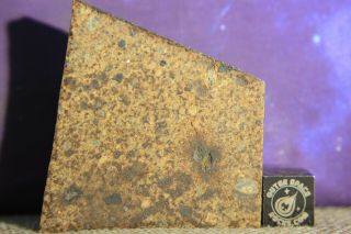 Nwa 6289 Ll4 Chondrite Meteorite 23.  6 Gram Part Slice With Chondrules And Metal