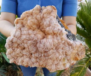 VERY FINE LARGE 8 3/4 INCH WORLD CLASS BARITE CRYSTAL CLUSTER 2