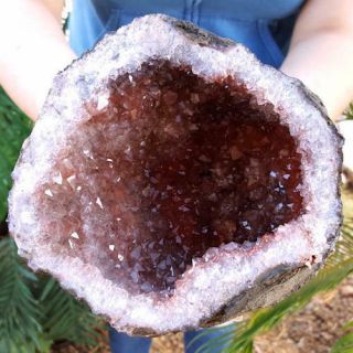 Spectacular 5 1/4 Inch Red Inclusion Quartz Crystal Geode