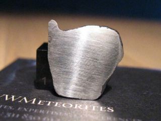 Meteorite Nwa 13000 - Iron Meteorite (hexahedrite) - Full Slice - Neumann Lines