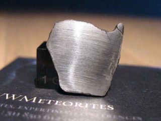 Meteorite NWA 13000 - Iron Meteorite (Hexahedrite) - Full Slice - Neumann Lines 2