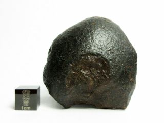 Nwa X Meteorite 82.  38g Oriented Chondrite With Character