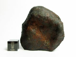 NWA x Meteorite 82.  38g Oriented Chondrite with Character 2