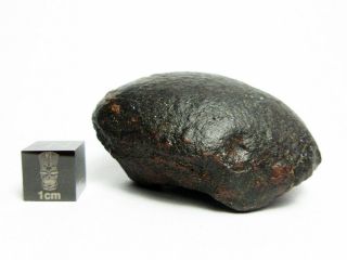 NWA x Meteorite 82.  38g Oriented Chondrite with Character 3