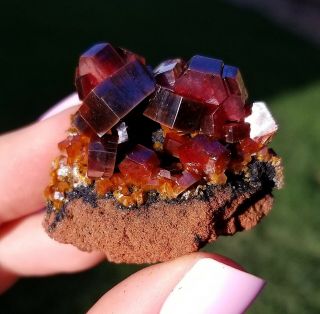 Sweet Glowing Dark Cherry Red Vanadinite Crystals On Matrix From Morocco (: (: