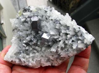 Galena Brilliant Crystals And Clear Quartzs From Peru. .  Palomo Mine