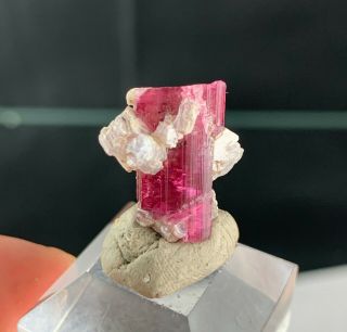 Pink Rubellite Tourmaline Crystal: Jonas Mine.  Conselheiro Pena,  Mg,  Brazil