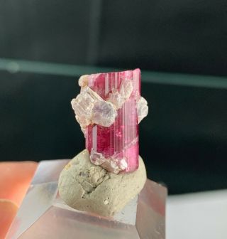 Pink Rubellite Tourmaline Crystal: Jonas Mine.  Conselheiro Pena,  MG,  Brazil 2