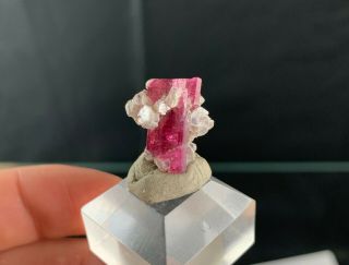 Pink Rubellite Tourmaline Crystal: Jonas Mine.  Conselheiro Pena,  MG,  Brazil 3