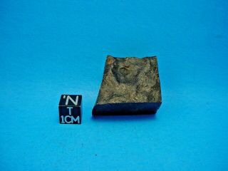 2001,  Sahara 02500 L3 Chondrite Meteorite,  Sahara Desert Africa 34.  5 Grams