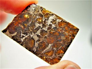 Museum Quality Crystals Brahin Pallasite Meteorite 7.  793 Gms