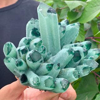 2.  83lb Find Green Phantom Quartz Crystal Cluster Mineral Specimen Healing