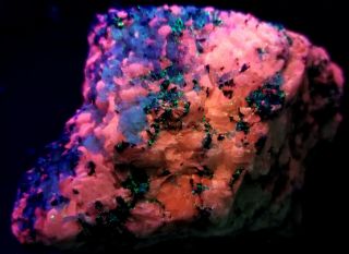 Franklin Nj Fluorescent Mineral - Bright Red Calcite With Blue Fluorite