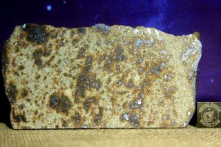 Nwa 7650 L6 Chondrite Meteorite 53.  2 Gram Extra Wide Part Slice