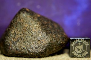 Nwa Unclassified Meteorite 33.  3g Individual With Desert Polished Fusion Crust