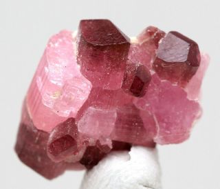 Pink Tourmaline Rubellite Elbaite Crystal Cluster Mineral Specimen Russia