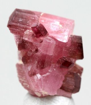 Pink Tourmaline Rubellite Elbaite Crystal Cluster Mineral Specimen RUSSIA 2