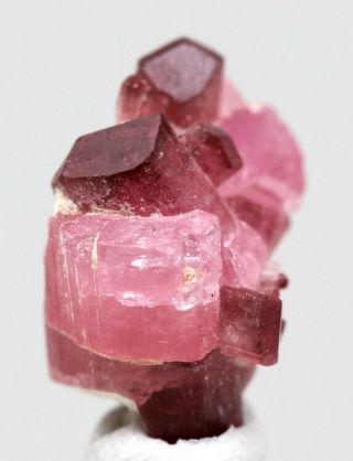 Pink Tourmaline Rubellite Elbaite Crystal Cluster Mineral Specimen RUSSIA 3