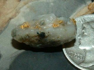 California Gold Quartz Specimen 1.  4 Gram Natural Gold In Quartz
