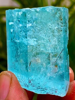 195 C.  T 100 Natural Deep Blue Gemmy Aquamarine Crystal Inside Tourmaline Nidels