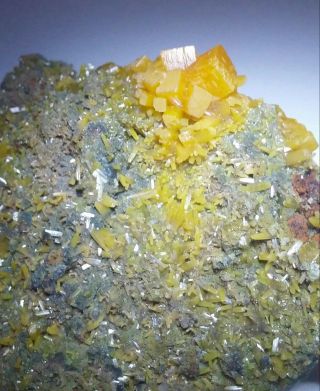 - Yellow Wulfenite Crystals & Green Mimetite On Matrix,  Mine Mexico