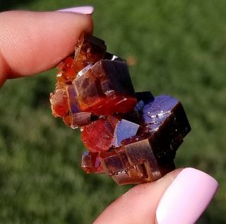 Sweet Miniature Specimen With Lustrous Dark Red Vanadinite Crystals On Matrix