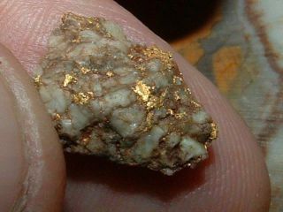 Oxidized Gold Quartz Specimen 1.  48 Gram Natural California Gold In Quartz