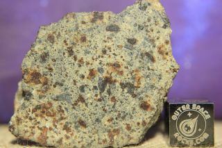 Nwa 6080 Ll4 Chondrite Meteorite 26.  1g End Cut Fusion Crust Chondrules And Metal