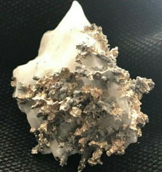 Allargentum And Silver Pseudomorph After Dyscrasite Bouismas Mine Morocco
