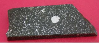 Nwa 4488 Meteorite: 46.  2 Gram Polished Slice