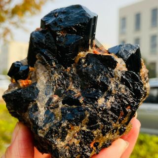 498g Natural Black Tourmaline Quartz Crystal Cluster Mineral Specimen Fcc694