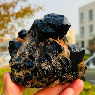 498g Natural black tourmaline quartz crystal cluster mineral specimen FCC694 2
